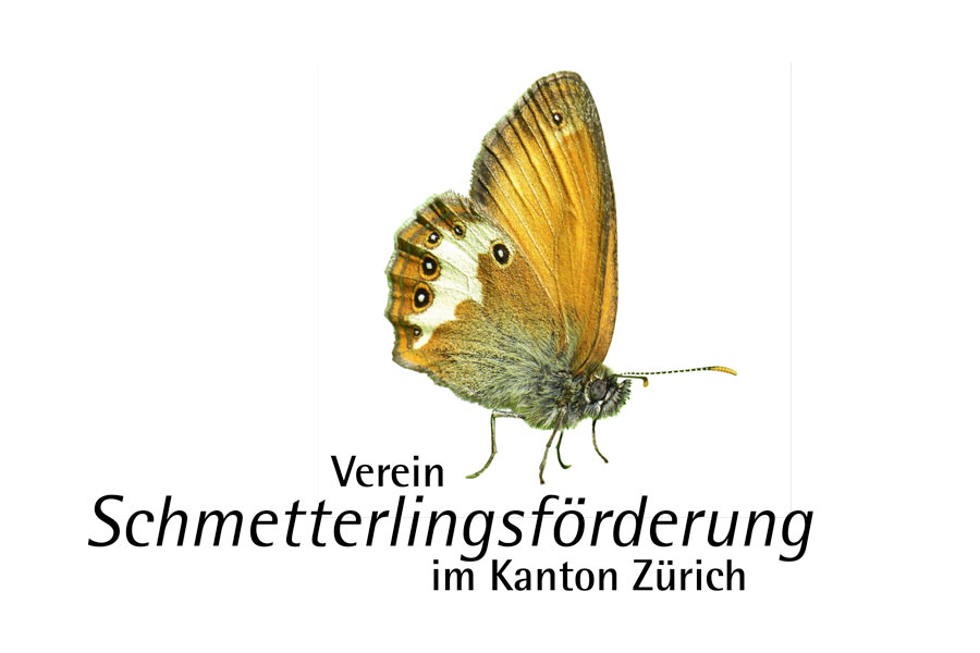 Schmetterlingsförderung