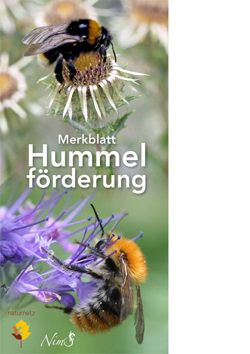 Merkblatt-Hummelfoerderung