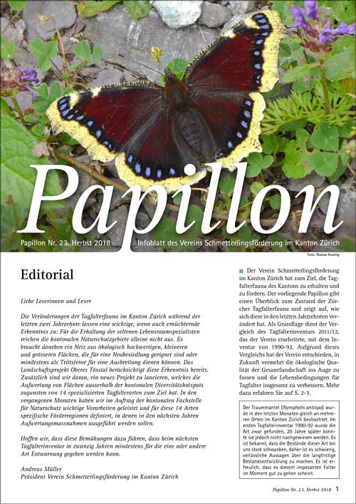 Papillon